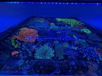 IMG_0254.jpeg
