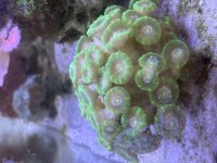 IMG_9242.jpeg