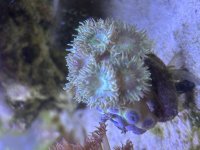 IMG_9248.jpeg