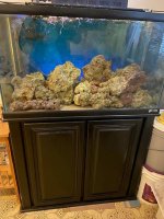 tank and stand pic 1.jpg