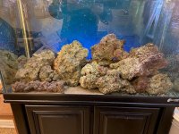 tank and stand pic 2.jpg
