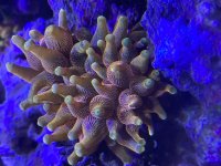 IMG_4219.jpeg