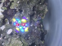 20260728_202529.jpg
