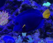 IMG_8426.jpeg