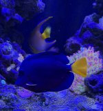 IMG_8428.jpeg