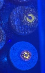 IMG_0537.jpeg