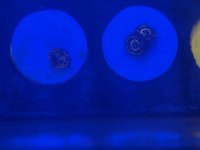 IMG_0538.jpeg