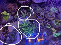 IMG_3101.jpeg