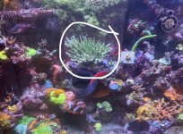 IMG_3103.jpeg