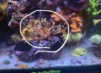 IMG_3102.jpeg
