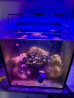IMG_0254.jpeg