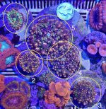 IMG_1897.jpeg