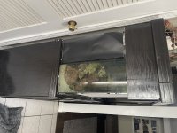 IMG_6140.jpeg