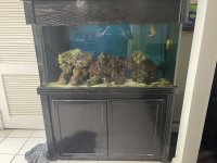 IMG_6139.jpeg
