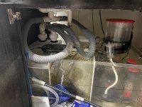 IMG_6138.jpeg