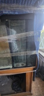 IMG_20260808_184617.jpg