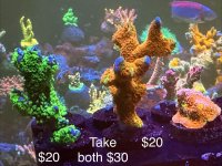 IMG_0442.jpeg
