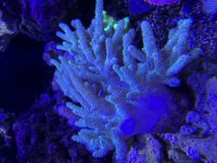 IMG_8452.jpeg