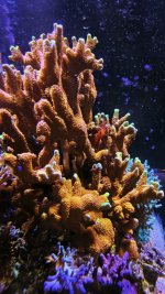 20260810_190931.jpg
