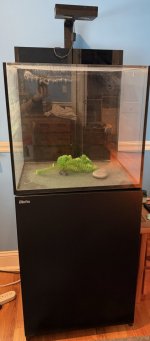 IMG_7344.jpeg
