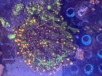 IMG_1722.jpeg