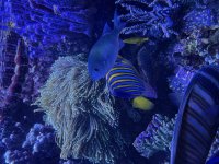 IMG_4477.jpeg