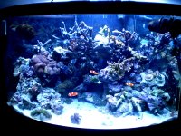 new light 54 001.JPG