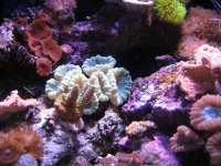 IMG_3390.jpg