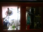 DSC00133.jpg