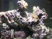DSC_0073.jpg