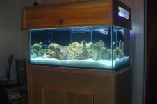 Copy of Picture 214.jpg