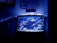 new light 54 005.JPG