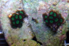 emerald_green3.jpg