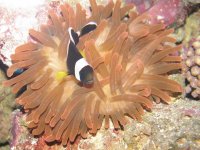 aquarium  4 173.jpg