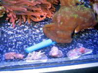 tank1 078 675x506.jpg