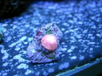 tank1 091 675x506.jpg