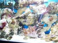 100_1065.jpg