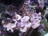 100_1110.jpg