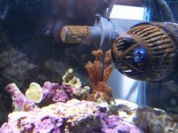 100_1112.jpg