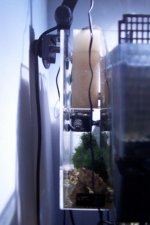 100_1083-1.jpg