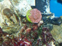100_1070.jpg