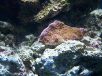 100_1071.jpg