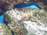 100_1072.jpg