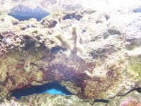 100_1073.jpg