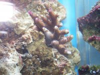 100_1074.jpg