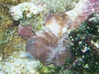 100_1075.jpg