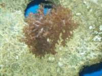 100_1068.jpg
