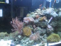 IMG_4603.jpg