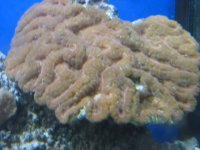 IMG_1499.JPG