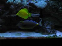 IMG_0015.jpg